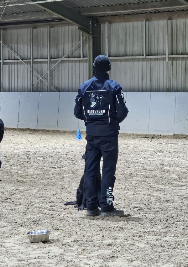Persoonlijke hondentraining met passie 1