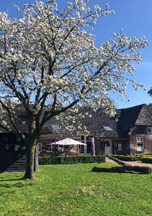 Voorjaarsmarkt bij Buurderij De Lage Hof in Overasselt