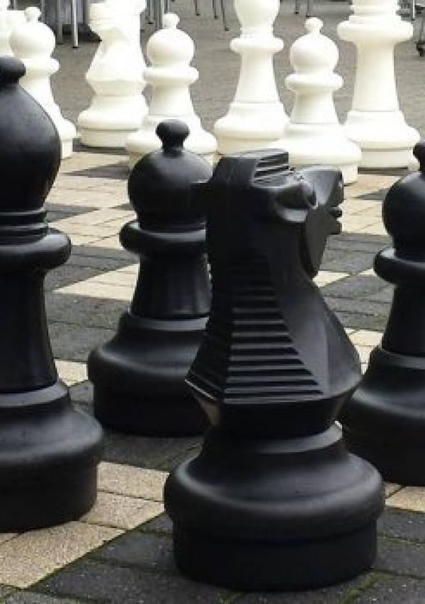 Schaakvereniging Het Kasteel 2
