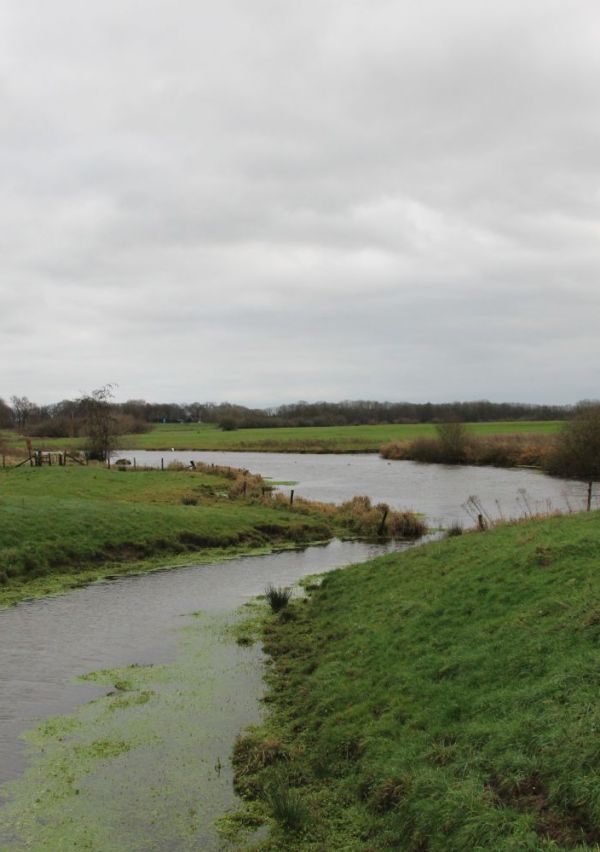 Wandelroute van ongeveer 5 kilometer 9