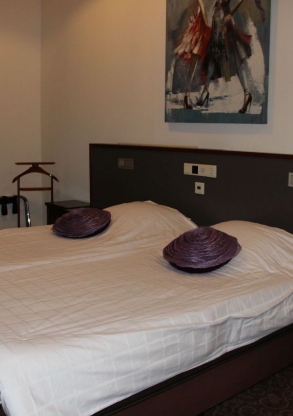 Logement de Reiziger in Ottersum 5
