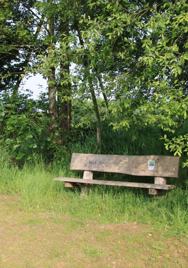 Camping ‘Bij Ons’ in Groesbeek 9