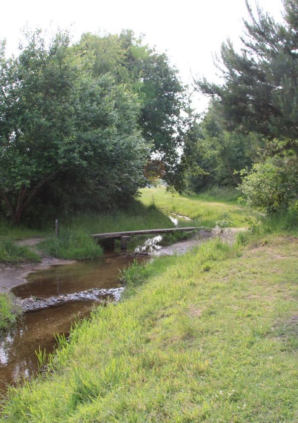 Camping ‘Bij Ons’ in Groesbeek 6