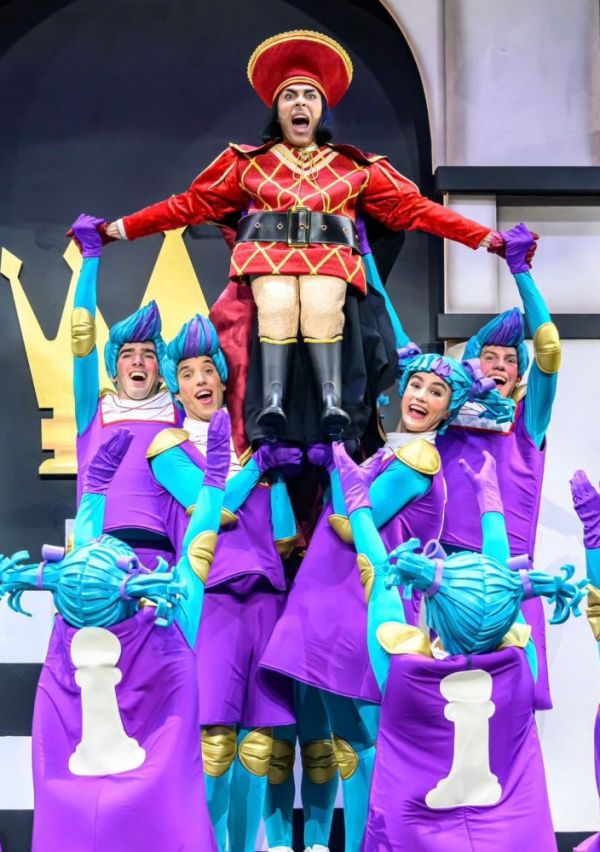 Een keer samen in een musical lijkt ons fantastisch! 14