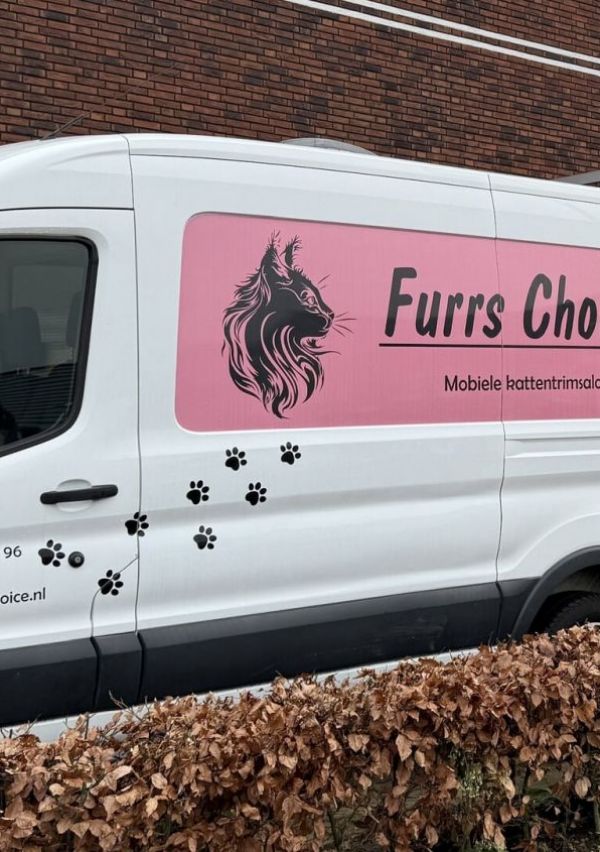 Furrs Choice bezorgt kat én baas comfort
