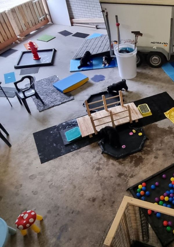 By Dogs Inspired opent nieuwe locatie in Beers