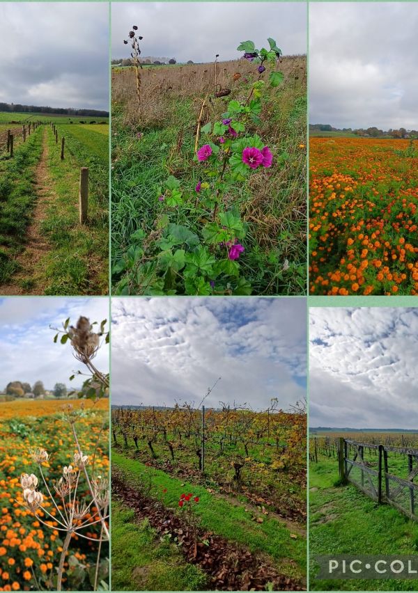 KISTE TRUI WANDELTOCHT