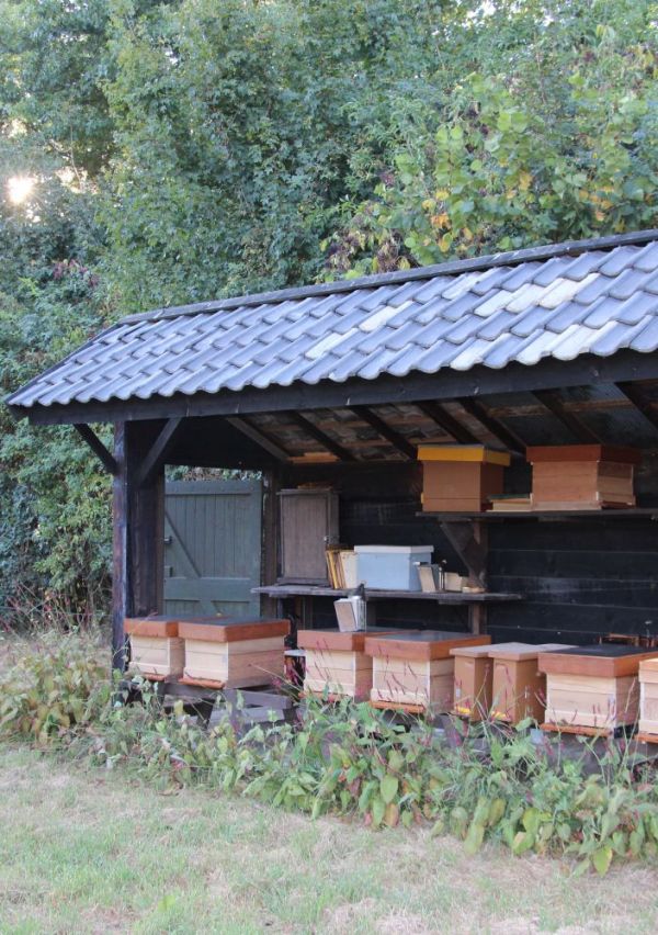 De hobby van… 1