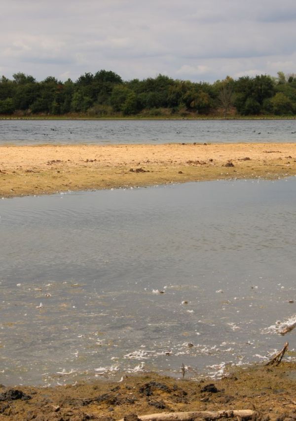 Wandelen bij natuurpoort De Bungelaer 9