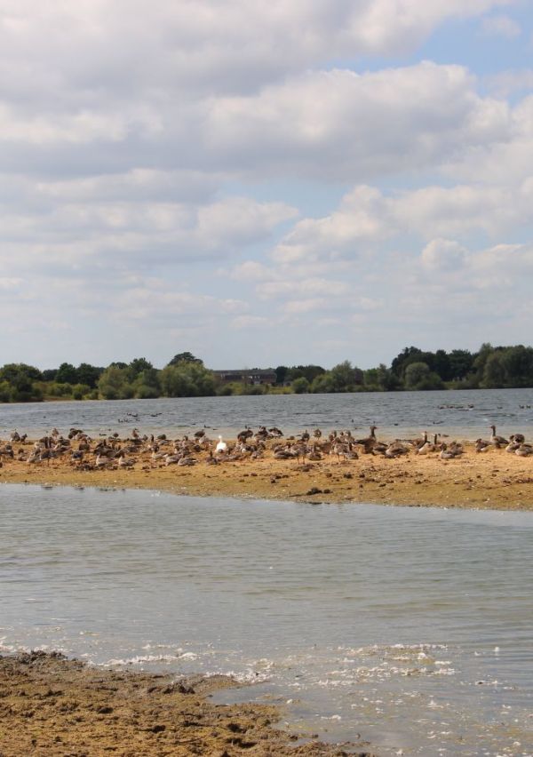 Wandelen bij natuurpoort De Bungelaer 10