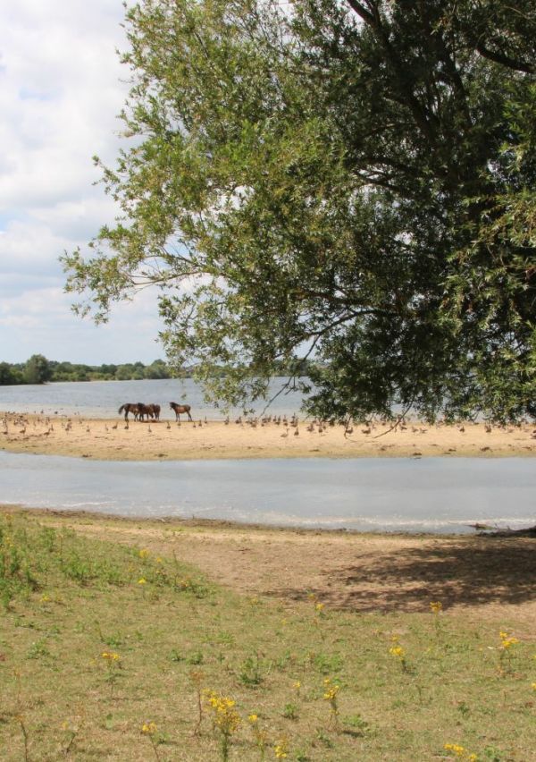 Wandelen bij natuurpoort De Bungelaer