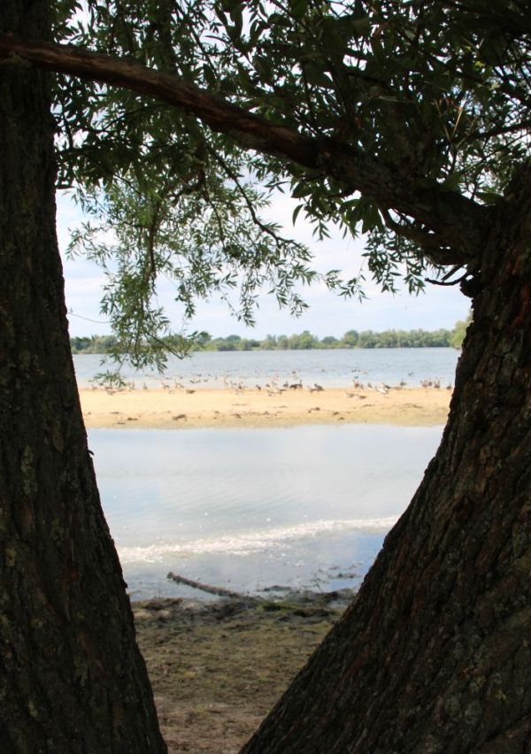 Wandelen bij natuurpoort De Bungelaer 4