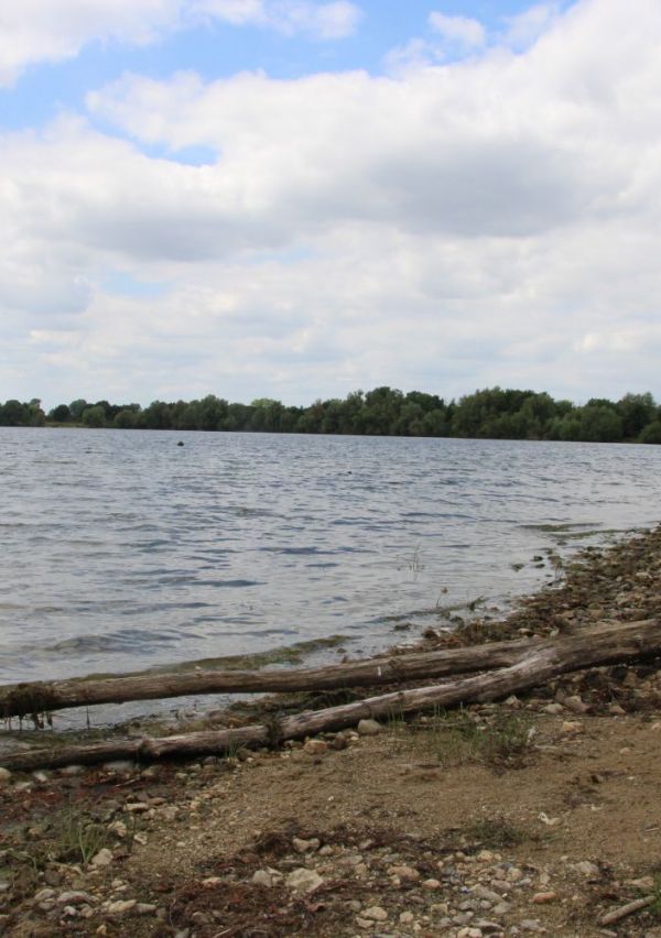 Wandelen bij natuurpoort De Bungelaer 5