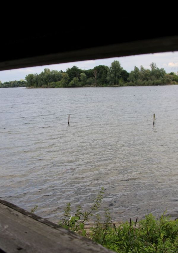 Wandelen bij natuurpoort De Bungelaer 8