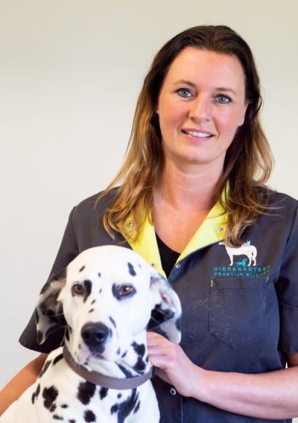 Wijchense dierenarts zet zich in voor straathonden in Kosovo