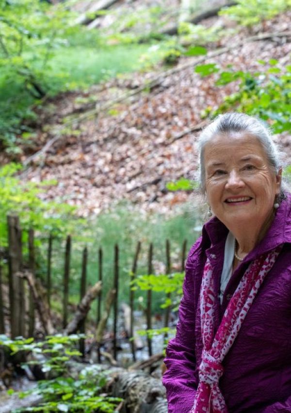 Lisa’s reis: een verhaal over moed, heling en de kracht van liefde