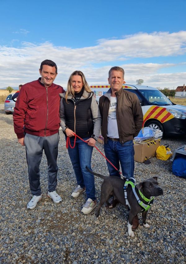 Elke euro helpt om het dierenleed aan te pakken 4