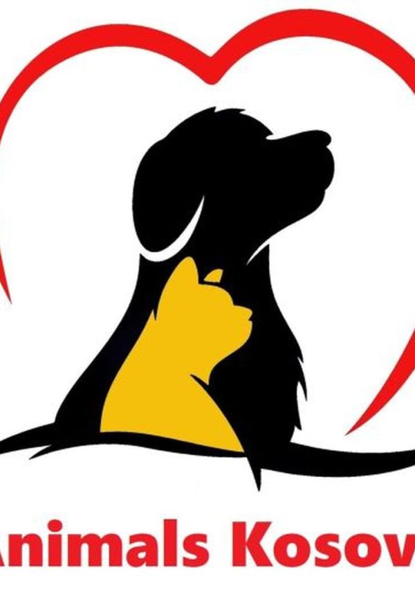 Elke euro helpt om het dierenleed aan te pakken 6