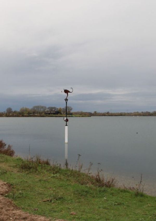 ‘De Kameleon’ in de Kraaijenbergse plassen 1
