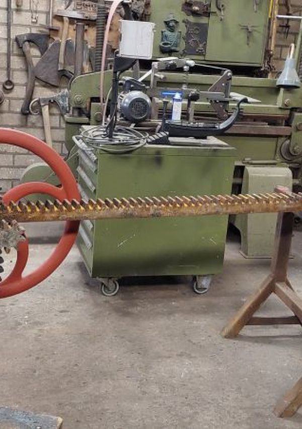 ‘De Kameleon’ in de Kraaijenbergse plassen 3