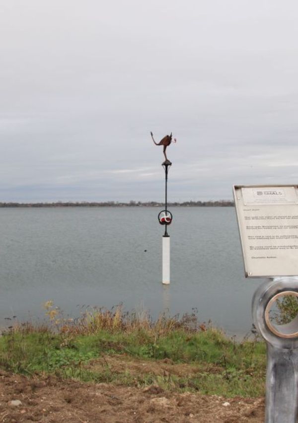 ‘De Kameleon’ in de Kraaijenbergse plassen 5