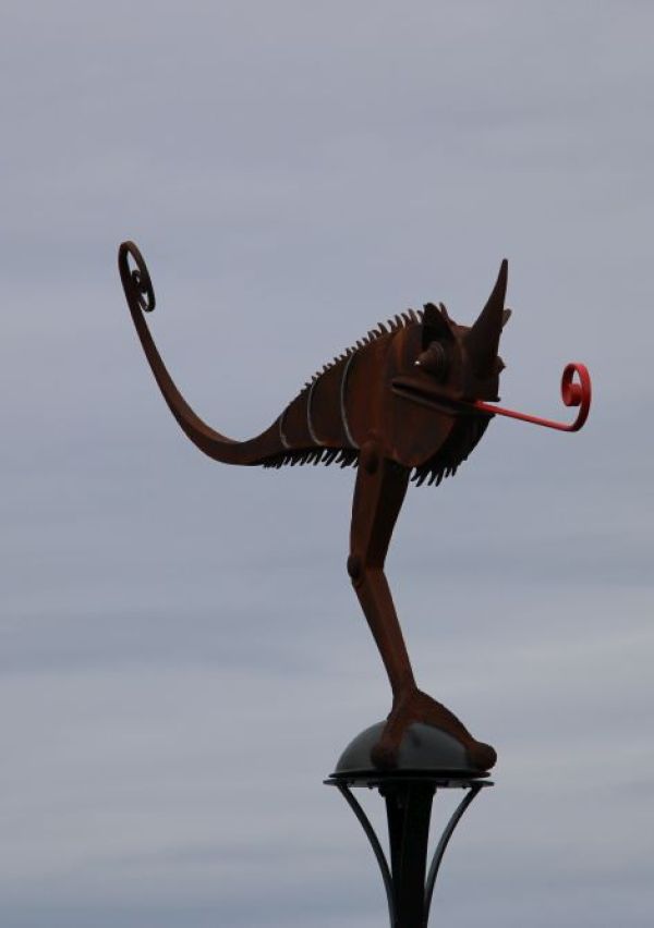 ‘De Kameleon’ in de Kraaijenbergse plassen