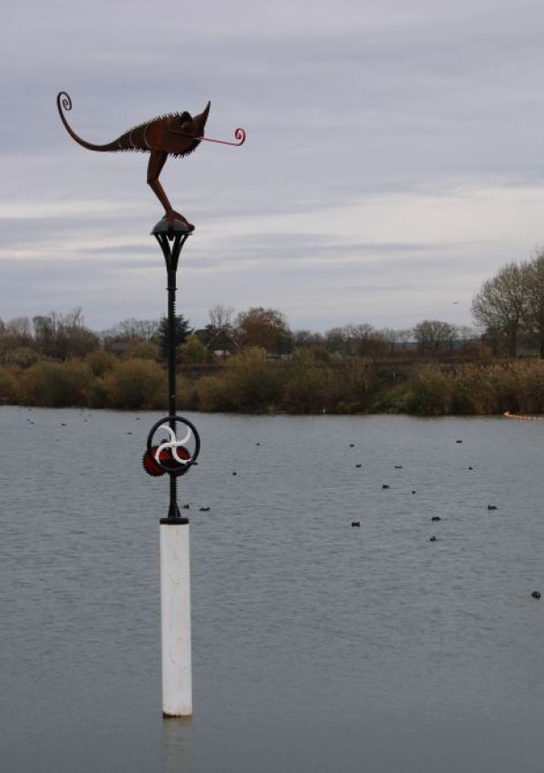 ‘De Kameleon’ in de Kraaijenbergse plassen 6