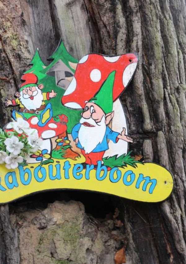 Kabouterboom in Boxmeer verbindt 1