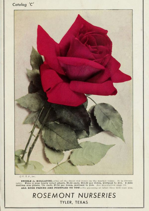 De familiesaga van de Hapse Verschurens 5