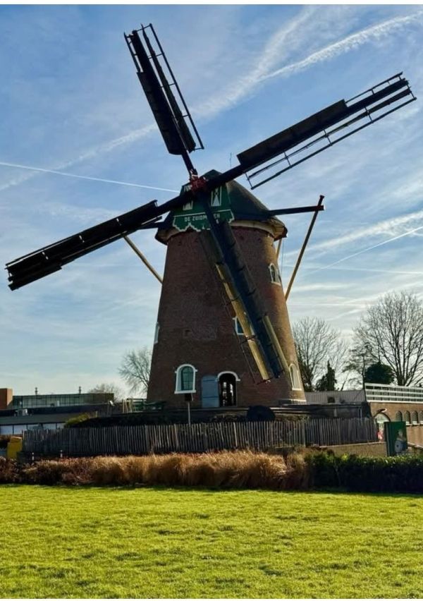 De Zuidmolen: stand van zaken en blik op de toekomst