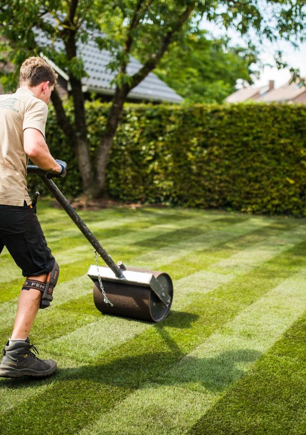 Voorjaarstips voor een Perfect Gazon