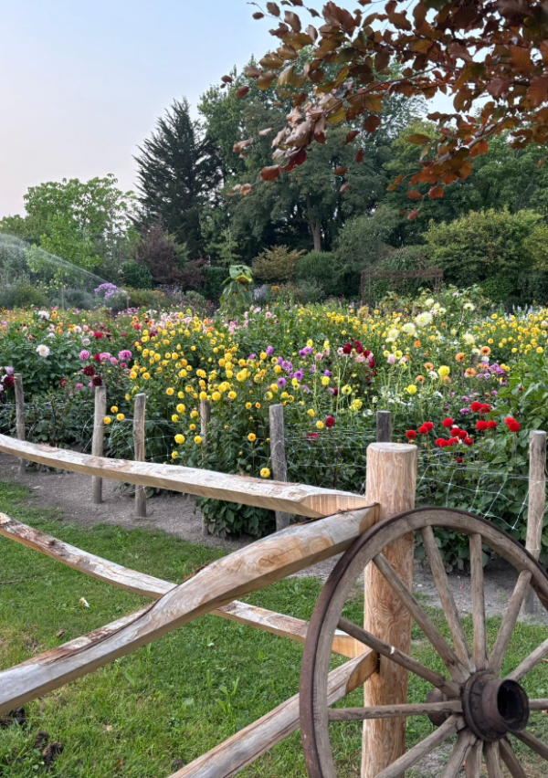 Bloemen plukken tussen rust, natuur en gezelligheid! 1