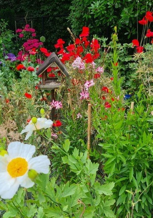 “Langs tuin en natuur” viert haar 20e editie! 9