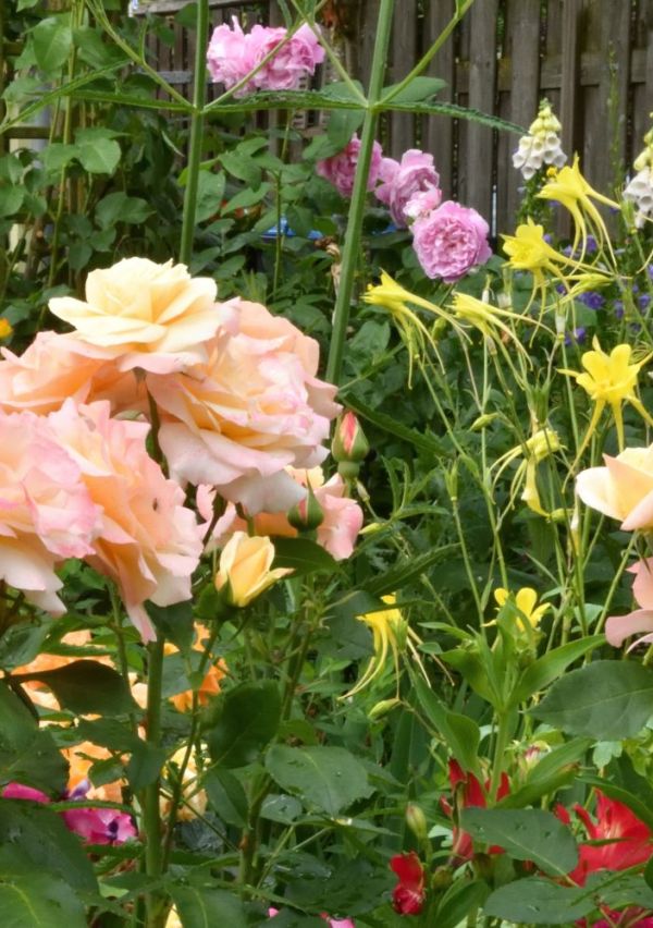 “Langs tuin en natuur” viert haar 20e editie! 2