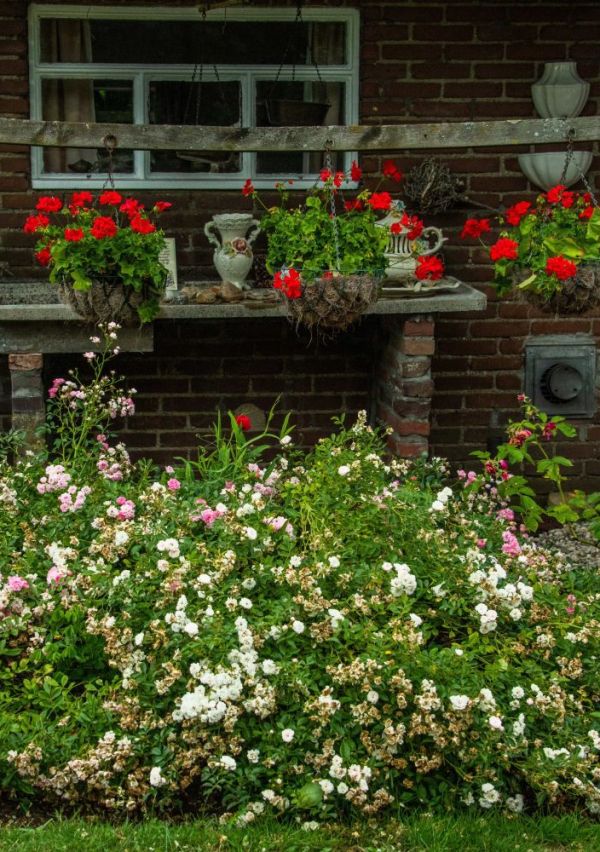 “Langs tuin en natuur” viert haar 20e editie! 3