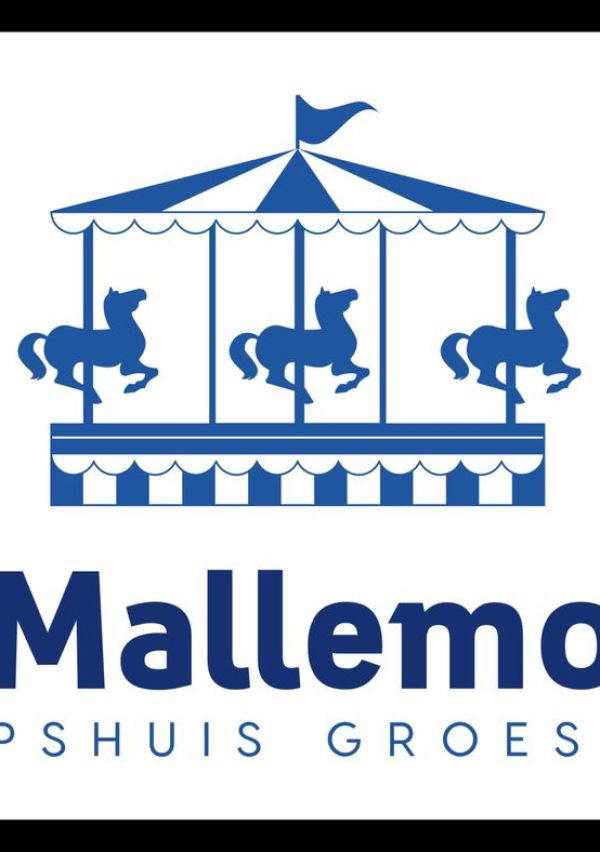 De Mallemolen bruist! 1