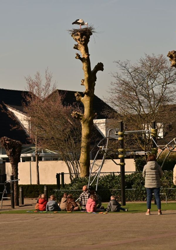 ‘Als je het mij laat ervaren zal ik leren’ 2