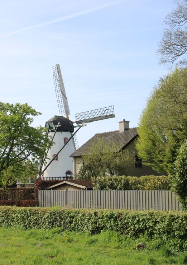 Fietsroute Wind Tegen (Molenroute Land van Cuijk Noord) 3
