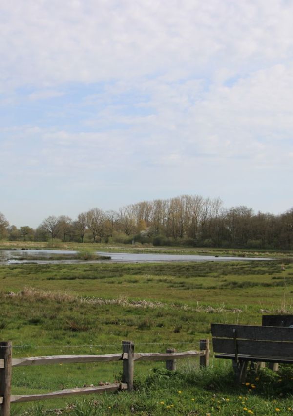Fietsroute Wind Tegen (Molenroute Land van Cuijk Noord) 4