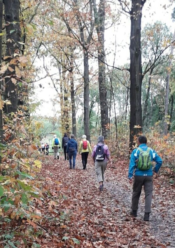 Kiste Trui Wandeltocht viert vijftiende editie
