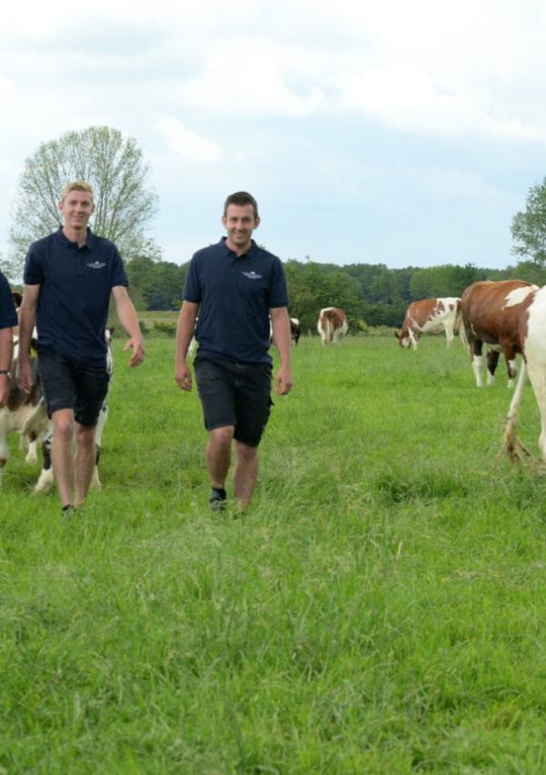 Van de Maasweide rechtstreeks naar de vriezer